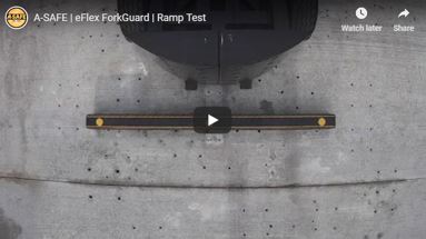 eFlex ForkGuard